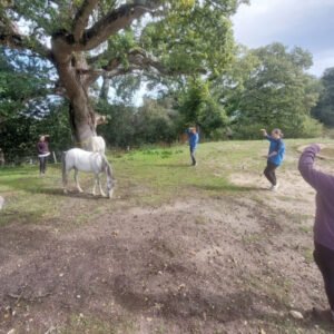 Forest Edge Tai Chi Saturday