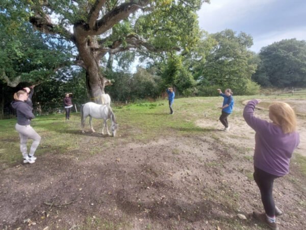 Forest Edge Tai Chi Saturday