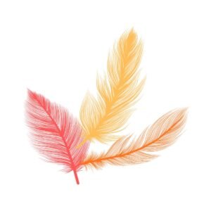 Coloured feathers