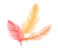 Phoenix feathers