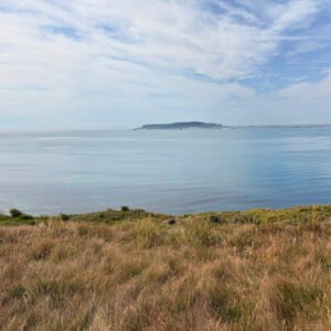 Seaview