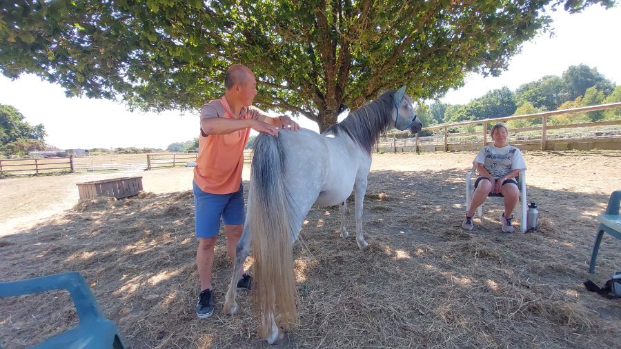 Pixie the Pony wants Chi Acupressure!