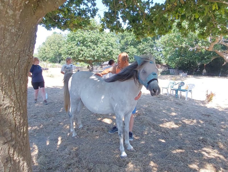 Pixie the Pony wants Chi Acupressure!