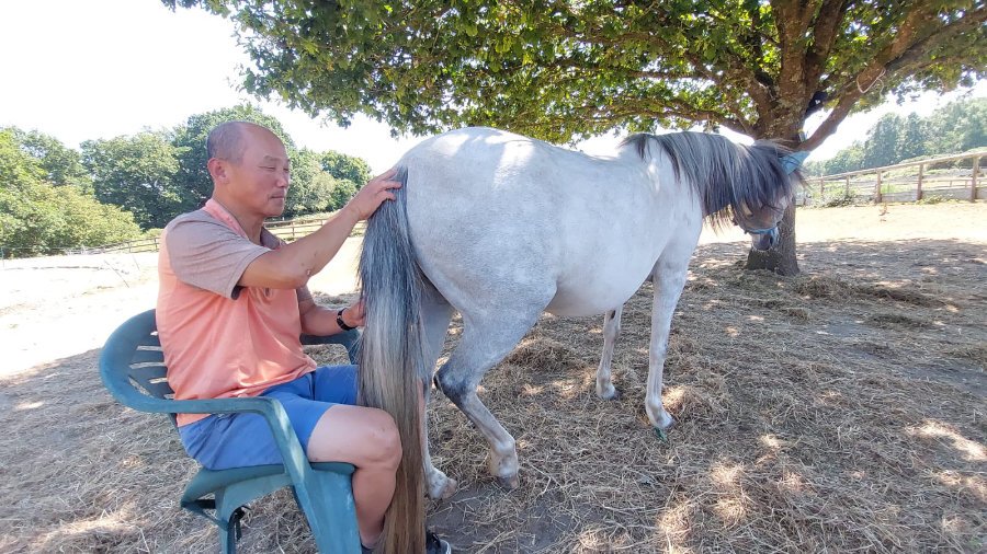 Pixie the Pony wants Chi Acupressure!
